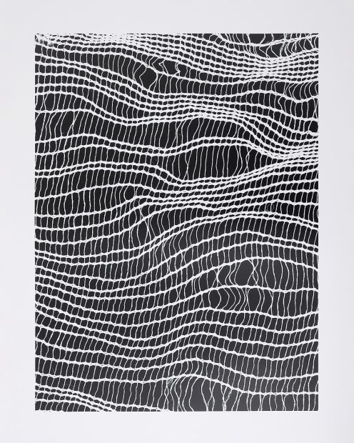 Les phénomènes analogues, Sandrine Marc