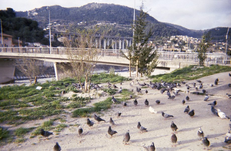 CASSIN_2020_jetables_MAISSOUNE_11