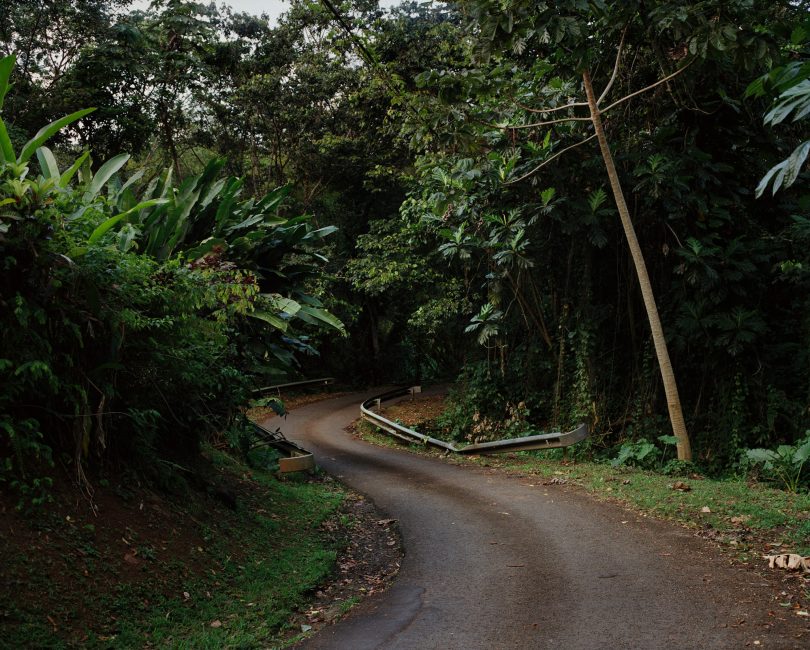série Noutéka 2016-2020