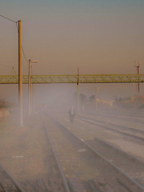 REAL.EDGES.SELBERT.Ver-1