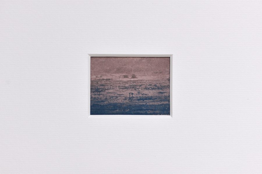 © Leah Desmousseaux